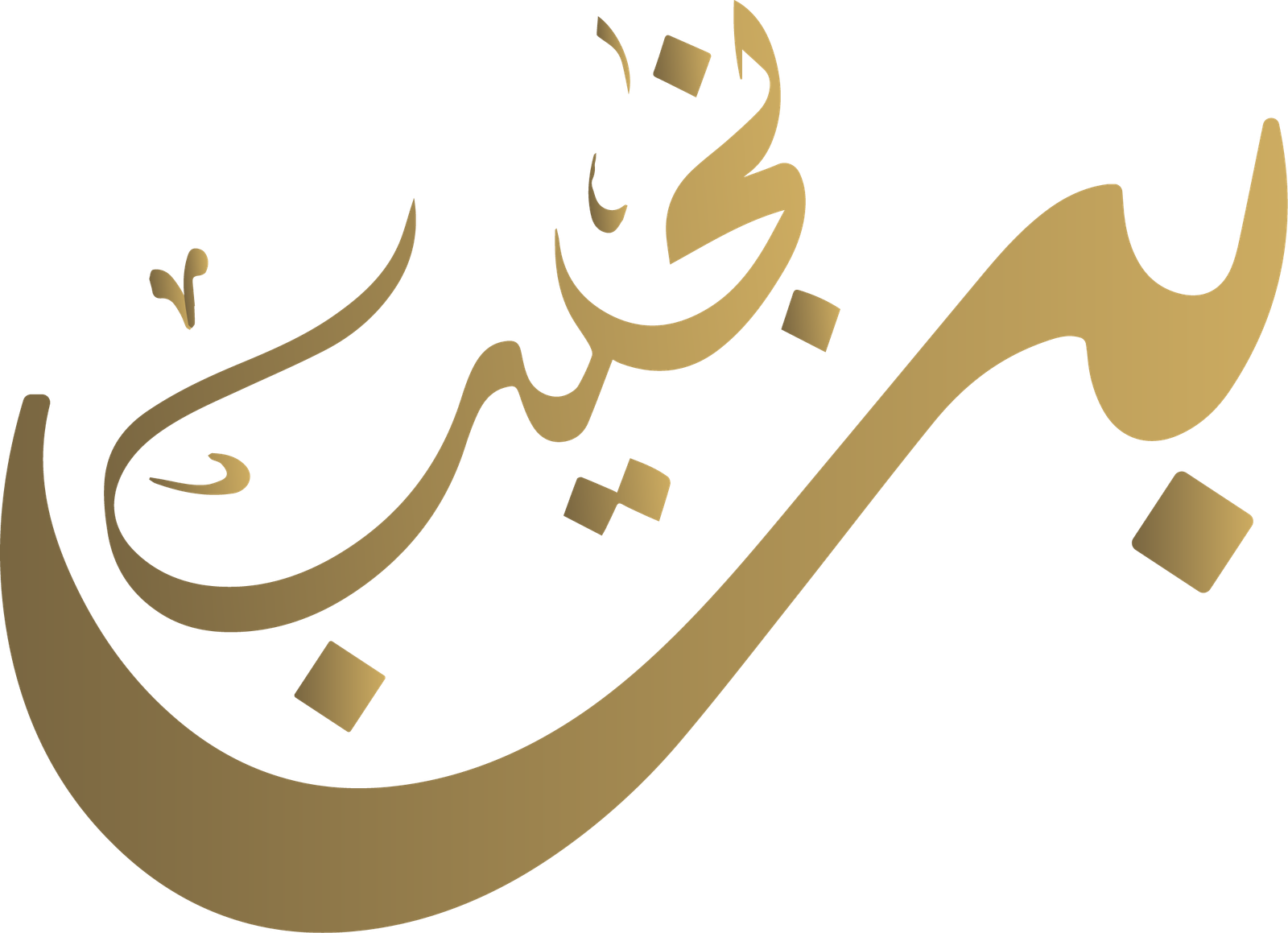binnajeeb.com